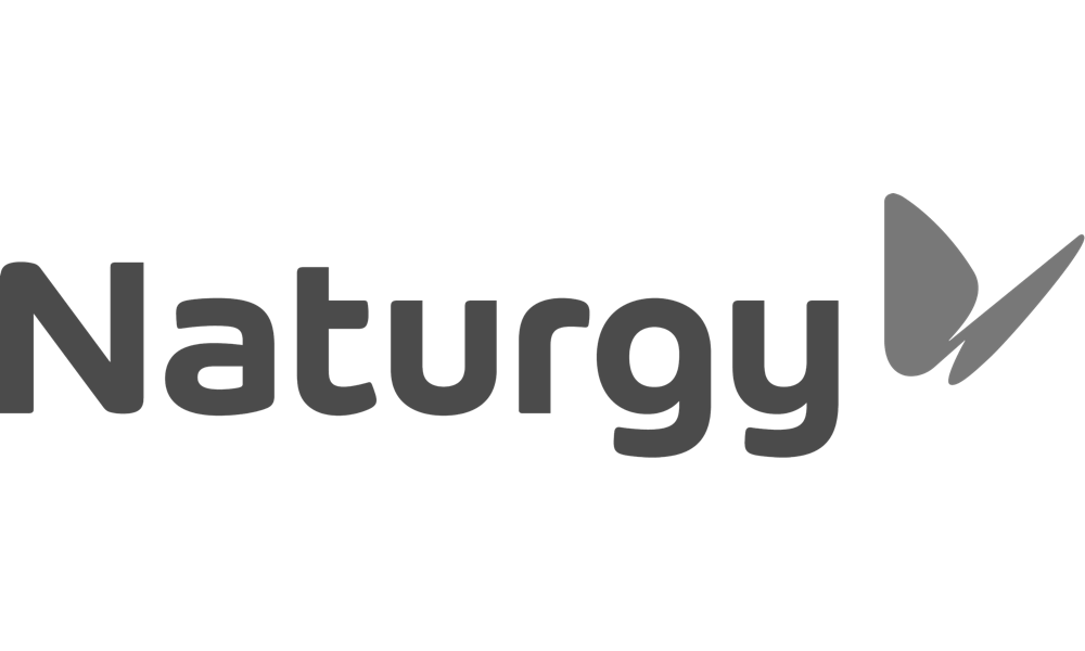 logotipo naturgy