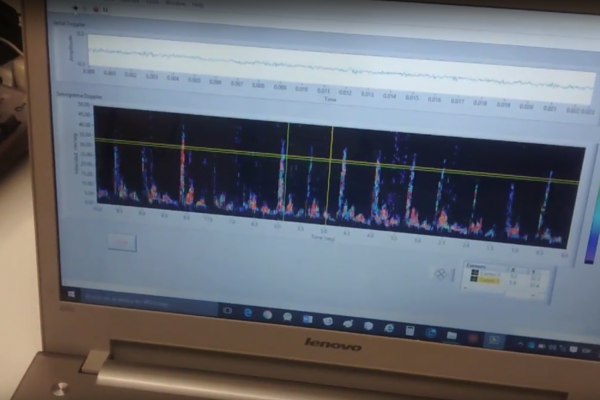 Ordenador lenovo con gráficos. Tecnología.